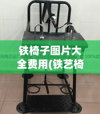 铁椅子图片大全费用(铁艺椅子图片大全)