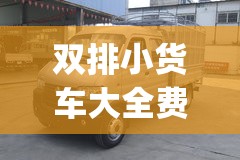 双排小货车大全费用(双排小货车新车费用二手)