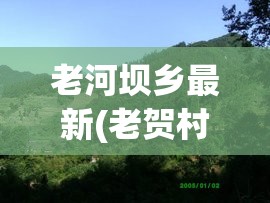 老河坝乡最新(老贺村最新消息今天)