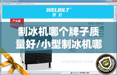 制冰机哪个牌子质量好/小型制冰机哪个牌子质量好 制冰机哪个牌子质量好/小型制冰机哪个牌子质量好