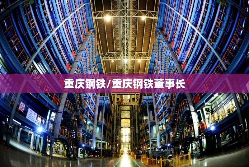 重庆钢铁/重庆钢铁董事长