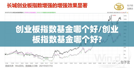 创业板指数基金哪个好/创业板指数基金哪个好?