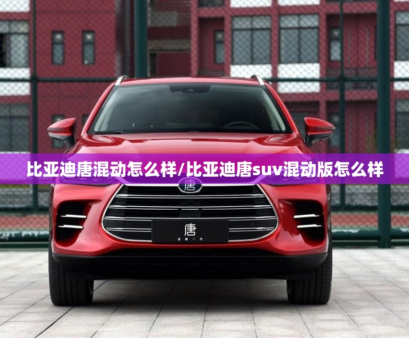 比亚迪唐混动怎么样/比亚迪唐suv混动版怎么样 比亚迪唐混动怎么样/比亚迪唐suv混动版怎么样