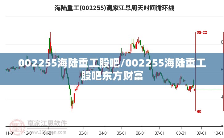 002255海陆重工股吧/002255海陆重工股吧东方财富