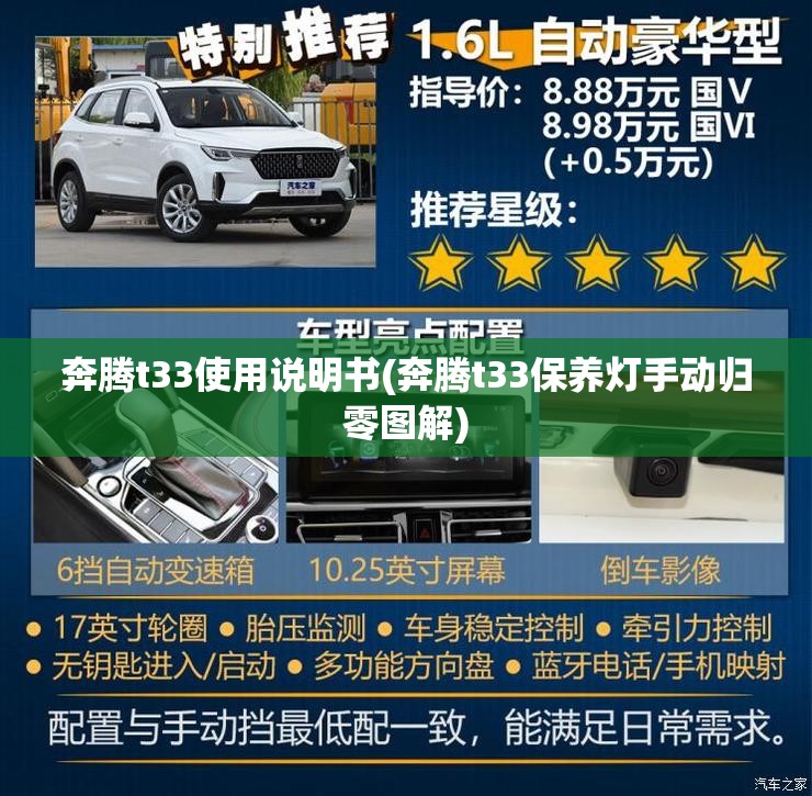 奔腾t33使用说明书(奔腾t33保养灯手动归零图解)