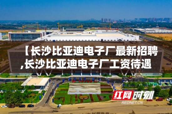 【长沙比亚迪电子厂最新招聘,长沙比亚迪电子厂工资待遇怎么样】