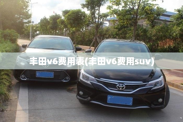 丰田v6费用表(丰田v6费用suv)