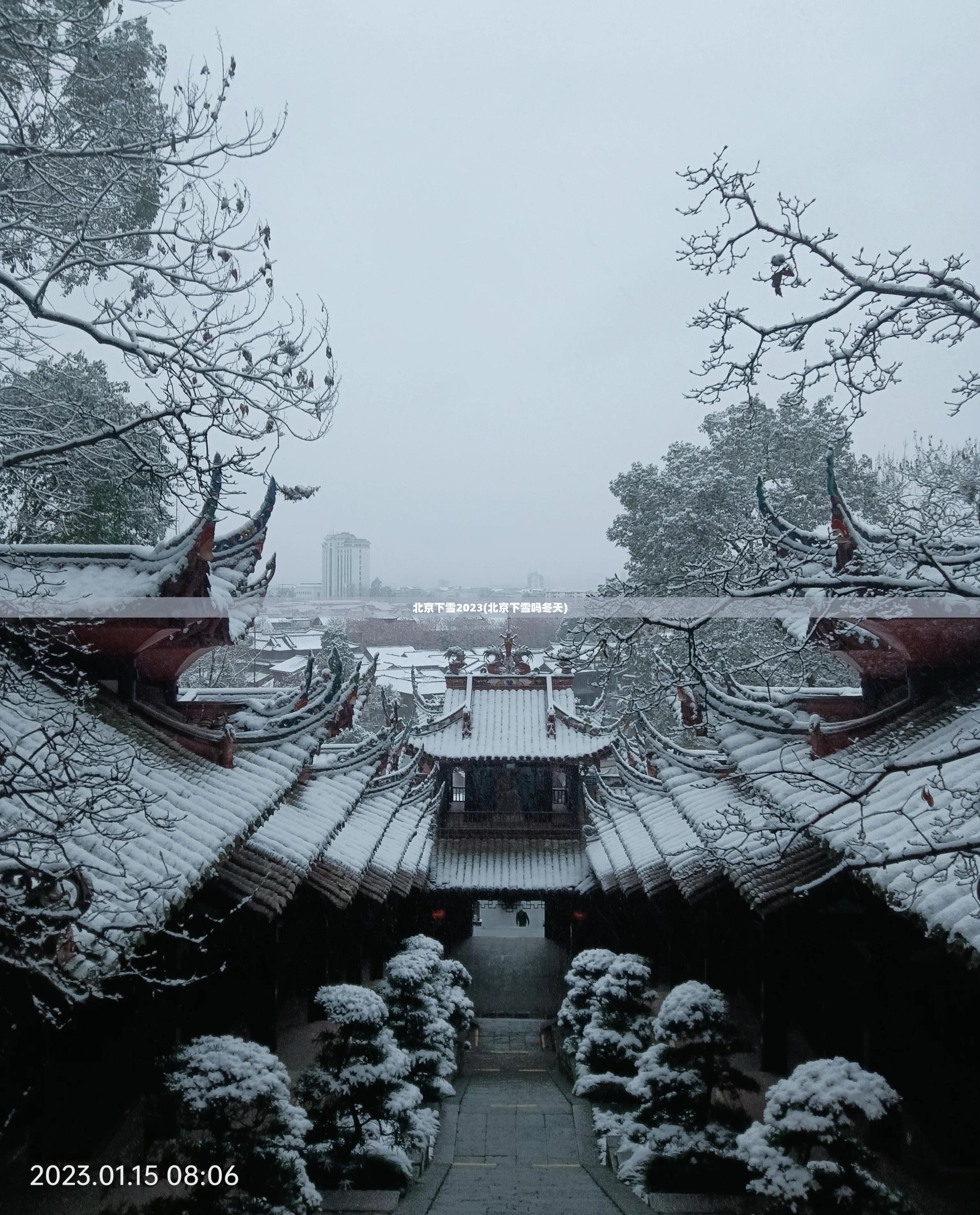 北京下雪2023(北京下雪吗冬天)