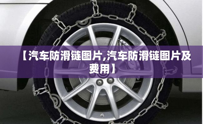 【汽车防滑链图片,汽车防滑链图片及费用】
