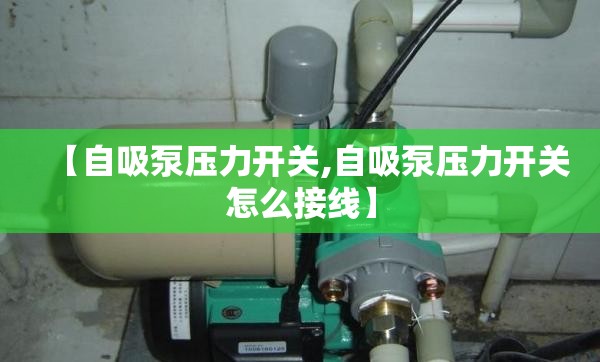 【自吸泵压力开关,自吸泵压力开关怎么接线】 【自吸泵压力开关,自吸泵压力开关怎么接线】