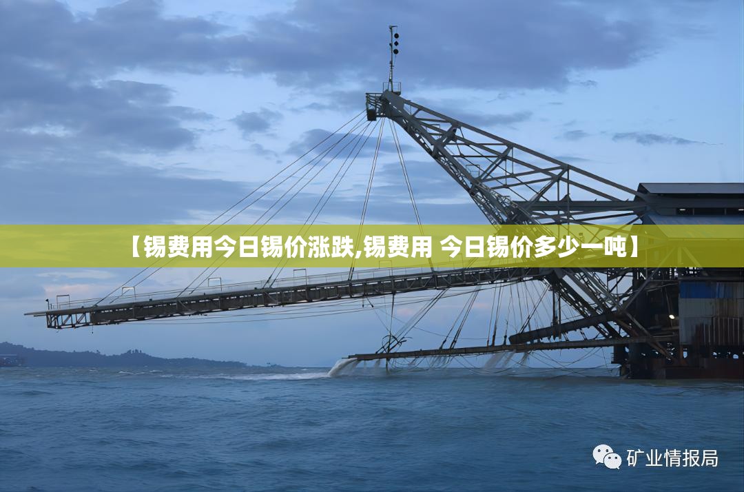 【锡费用今日锡价涨跌,锡费用 今日锡价多少一吨】 【锡费用今日锡价涨跌,锡费用 今日锡价多少一吨】
