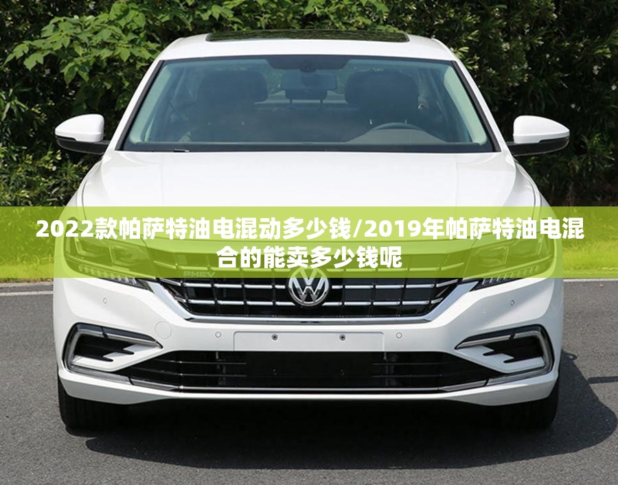 2022款帕萨特油电混动多少钱/2019年帕萨特油电混合的能卖多少钱呢