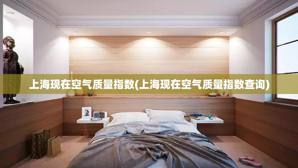 上海现在空气质量指数(上海现在空气质量指数查询)