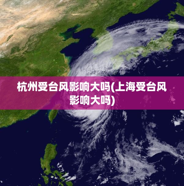 杭州受台风影响大吗(上海受台风影响大吗)