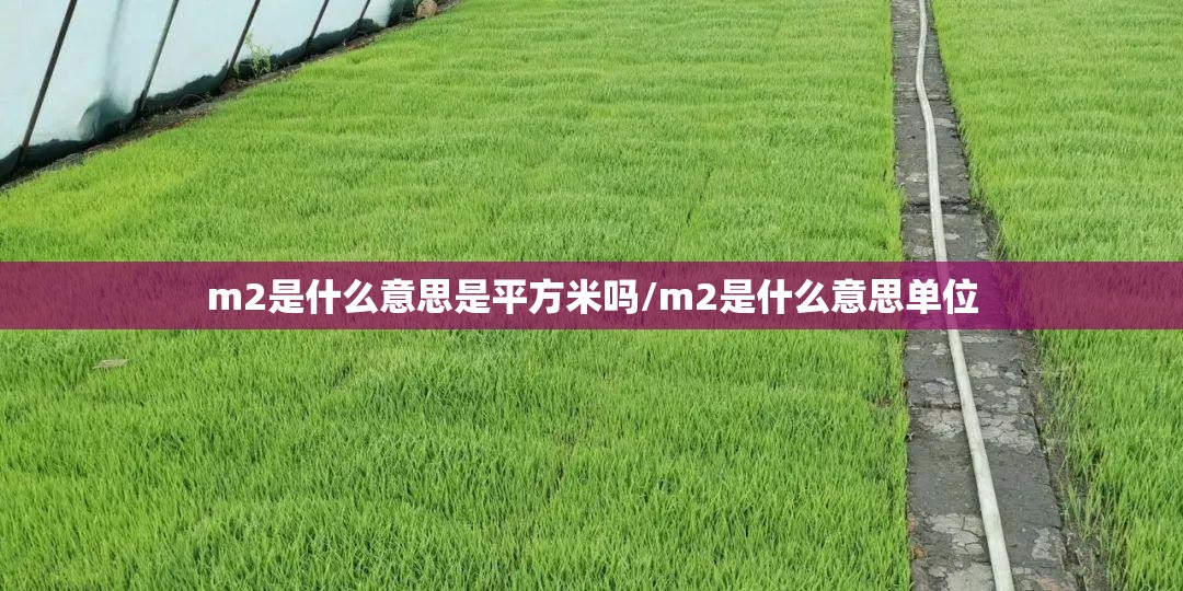 m2是什么意思是平方米吗/m2是什么意思单位