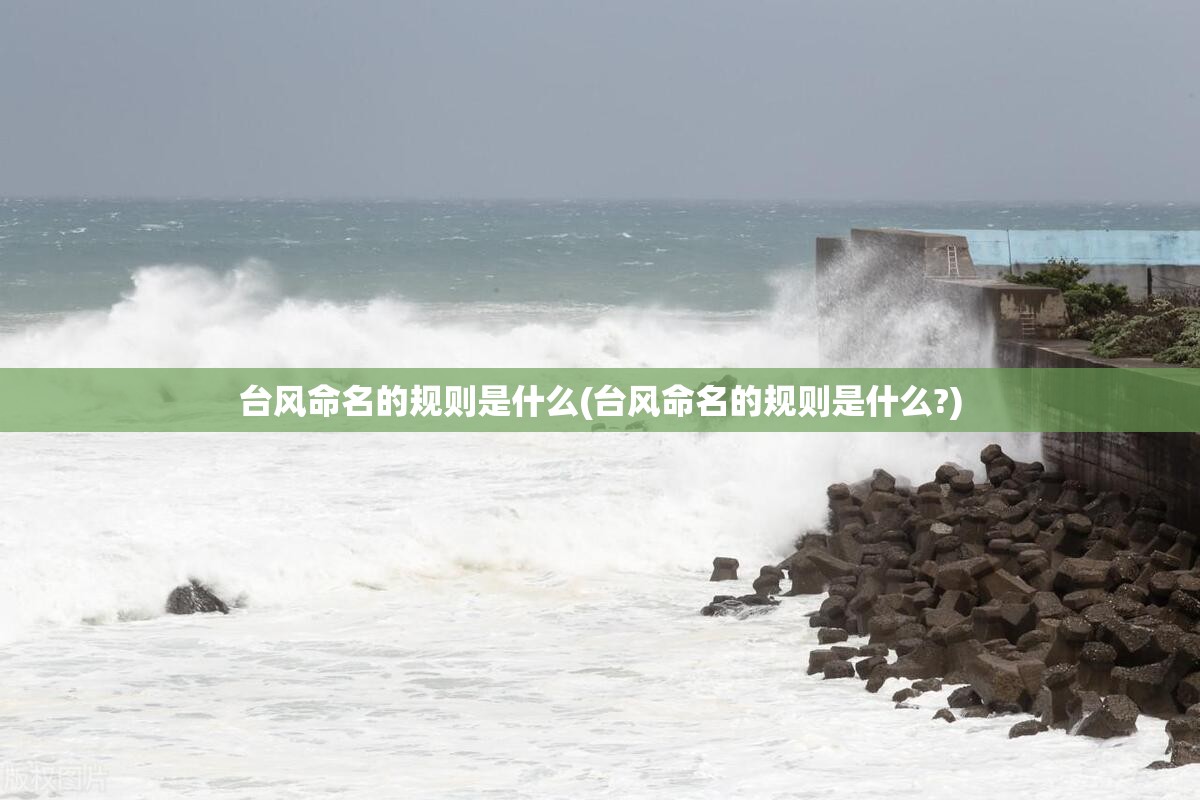 台风命名的规则是什么(台风命名的规则是什么?)