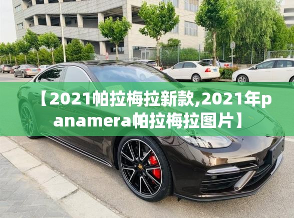 【2021帕拉梅拉新款,2021年panamera帕拉梅拉图片】