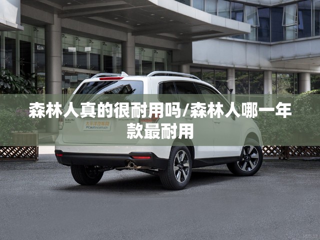 森林人真的很耐用吗/森林人哪一年款最耐用