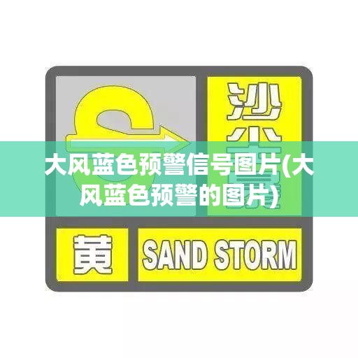 大风蓝色预警信号图片(大风蓝色预警的图片)