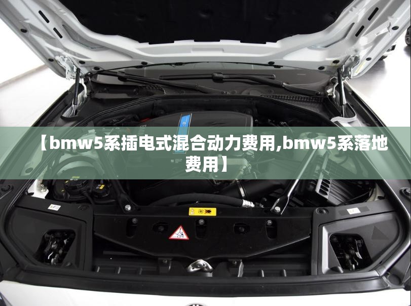 【bmw5系插电式混合动力费用,bmw5系落地费用】