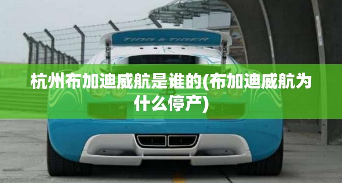 杭州布加迪威航是谁的(布加迪威航为什么停产)
