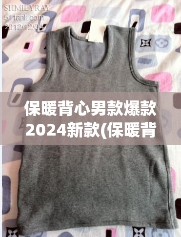 保暖背心男款爆款2024新款(保暖背心男冬季内穿)