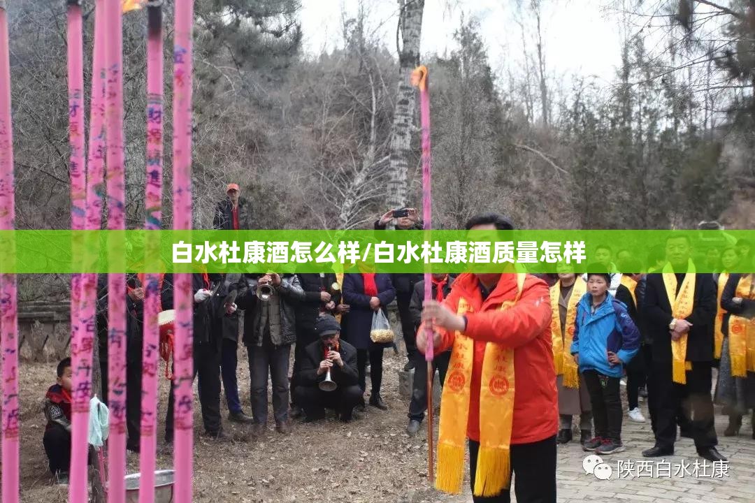 白水杜康酒怎么样/白水杜康酒质量怎样 白水杜康酒怎么样/白水杜康酒质量怎样