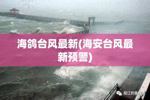 海鸽台风最新(海安台风最新预警) 海鸽台风最新(海安台风最新预警)