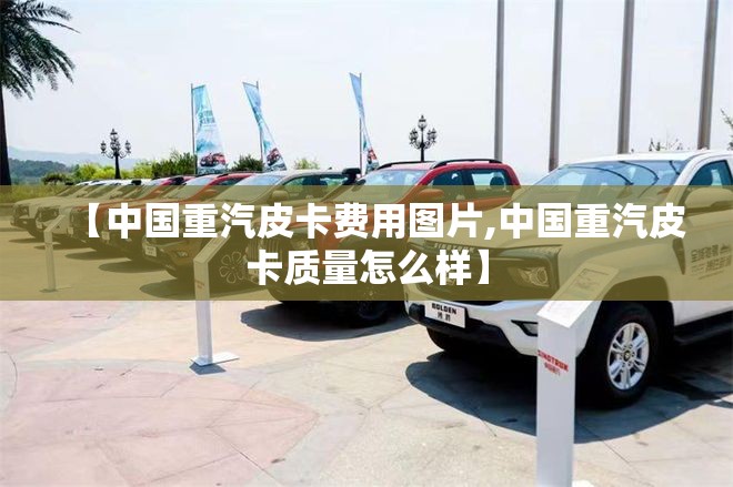 【中国重汽皮卡费用图片,中国重汽皮卡质量怎么样】