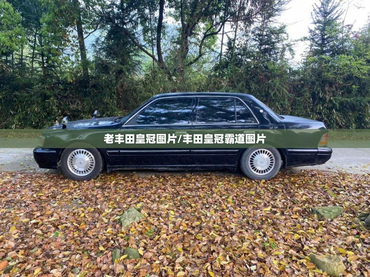 老丰田皇冠图片/丰田皇冠霸道图片 老丰田皇冠图片/丰田皇冠霸道图片
