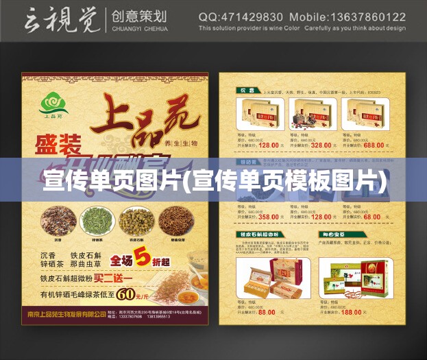 宣传单页图片(宣传单页模板图片)
