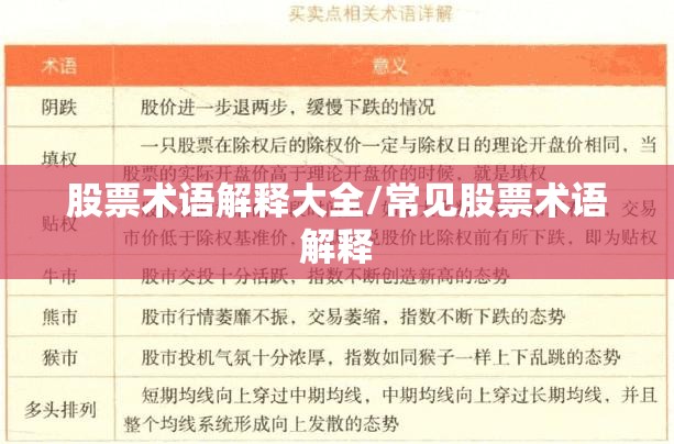 股票术语解释大全/常见股票术语解释