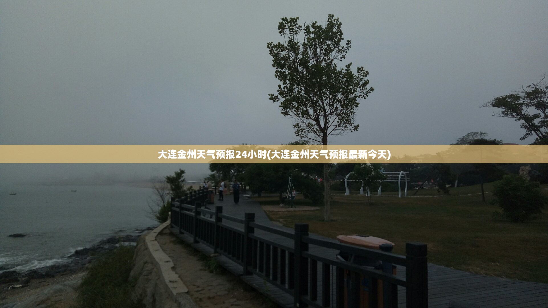 大连金州天气预报24小时(大连金州天气预报最新今天)