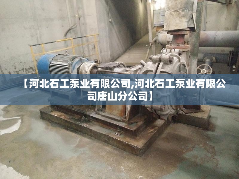 【河北石工泵业有限公司,河北石工泵业有限公司唐山分公司】