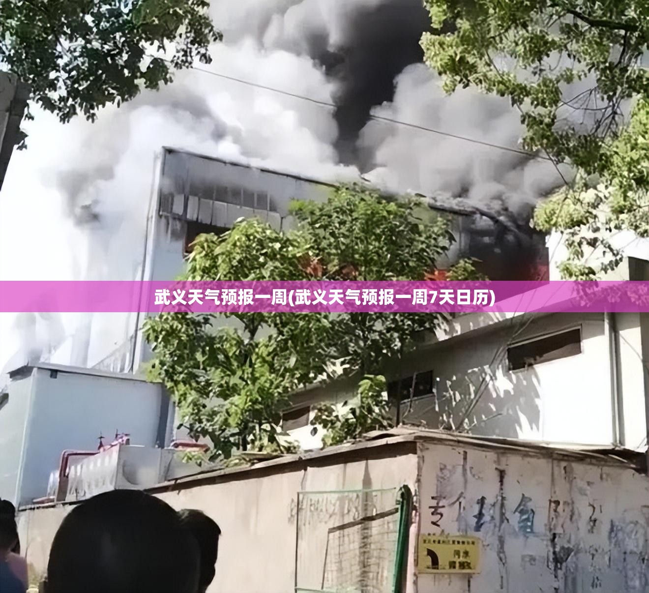 武义天气预报一周(武义天气预报一周7天日历) 武义天气预报一周(武义天气预报一周7天日历)
