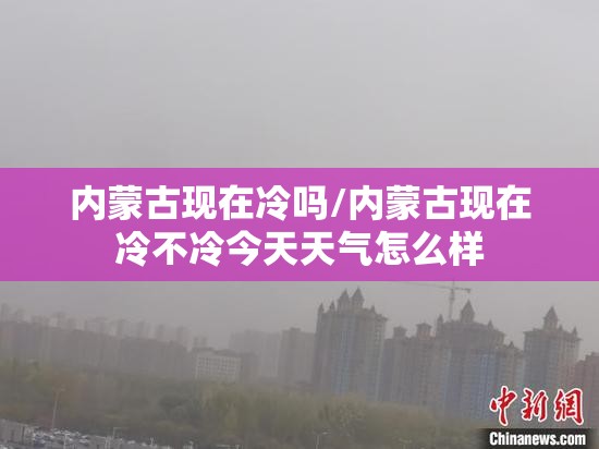 内蒙古现在冷吗/内蒙古现在冷不冷今天天气怎么样 内蒙古现在冷吗/内蒙古现在冷不冷今天天气怎么样