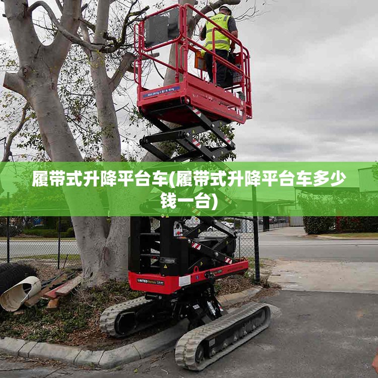履带式升降平台车(履带式升降平台车多少钱一台)
