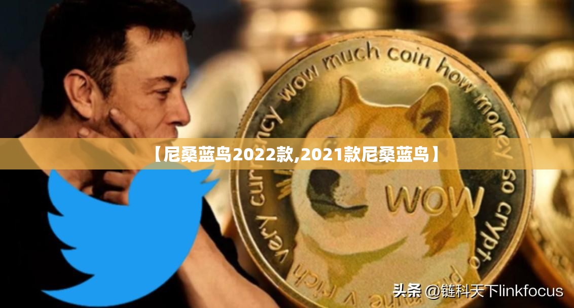 【尼桑蓝鸟2022款,2021款尼桑蓝鸟】