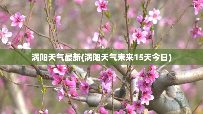 涡阳天气最新(涡阳天气未来15天今日)