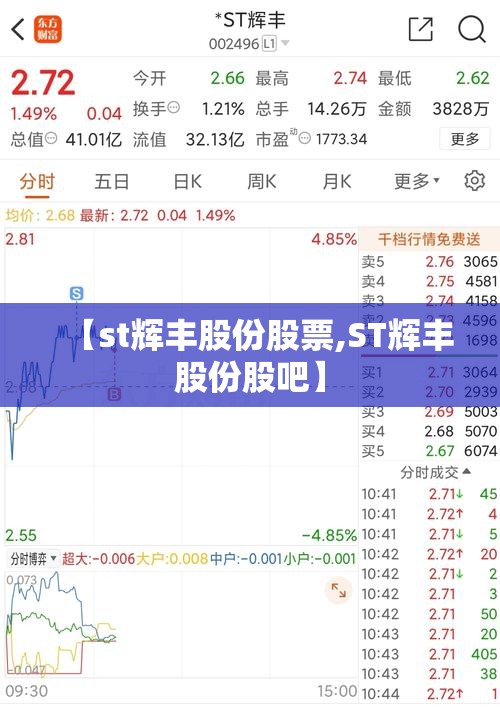 【st辉丰股份股票,ST辉丰股份股吧】