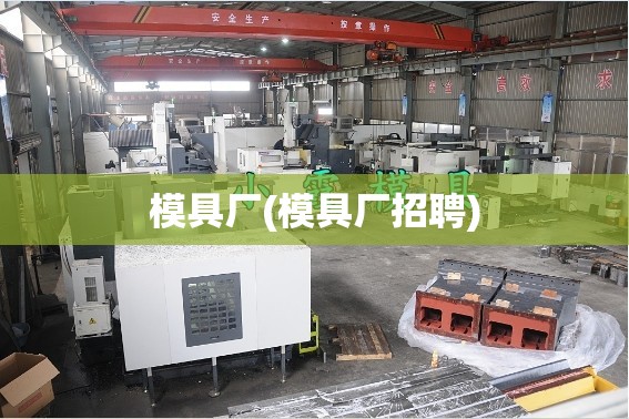 模具厂(模具厂招聘)
