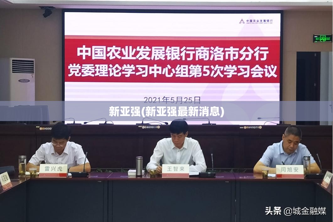 新亚强(新亚强最新消息) 新亚强(新亚强最新消息)