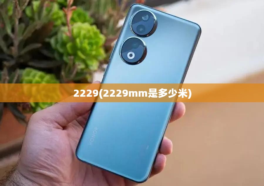 2229(2229mm是多少米) 2229(2229mm是多少米)