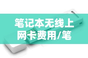 笔记本无线上网卡费用/笔记本无线网卡收费