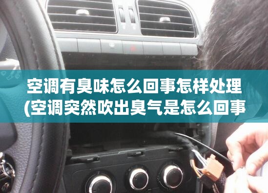 空调有臭味怎么回事怎样处理(空调突然吹出臭气是怎么回事)