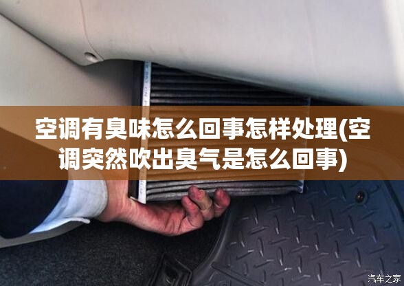 空调有臭味怎么回事怎样处理(空调突然吹出臭气是怎么回事)