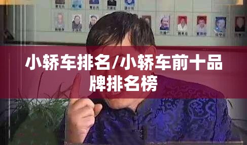 小轿车排名/小轿车前十品牌排名榜