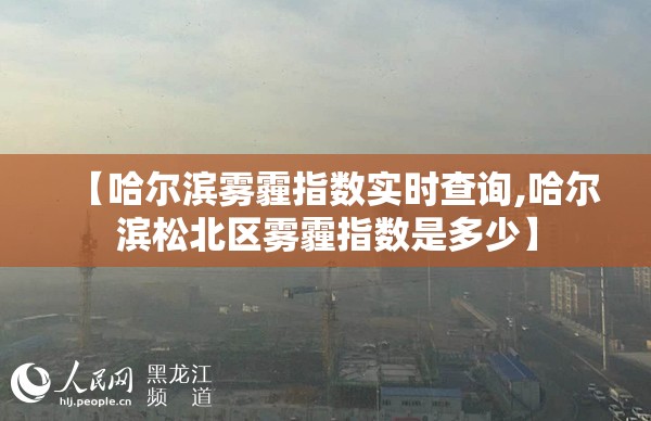 【哈尔滨雾霾指数实时查询,哈尔滨松北区雾霾指数是多少】 【哈尔滨雾霾指数实时查询,哈尔滨松北区雾霾指数是多少】