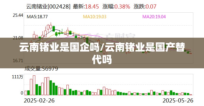 云南锗业是国企吗/云南锗业是国产替代吗 云南锗业是国企吗/云南锗业是国产替代吗