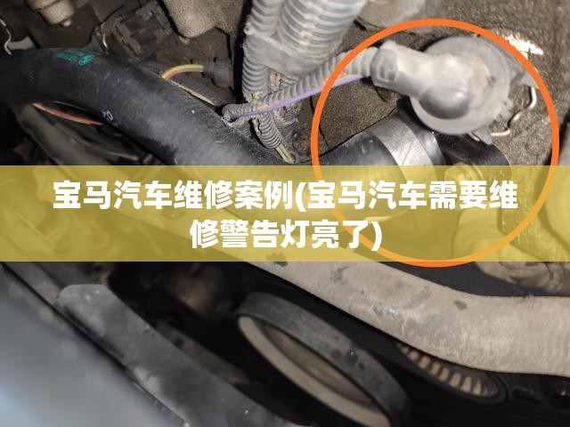 宝马汽车维修案例(宝马汽车需要维修警告灯亮了) 宝马汽车维修案例(宝马汽车需要维修警告灯亮了)
